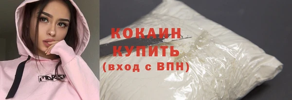 молекула духа Каменногорск