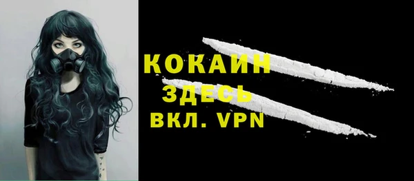 молекула духа Каменногорск