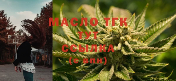 молекула духа Каменногорск