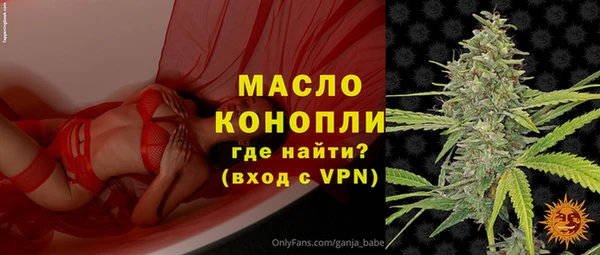молекула духа Каменногорск