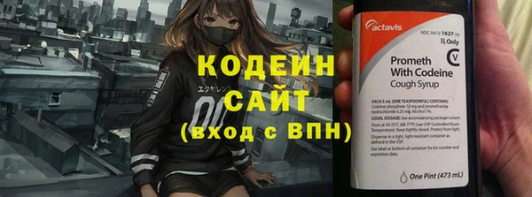 молекула духа Каменногорск